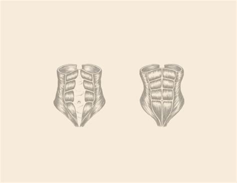 The first few years after my surgery, i could feel the mesh whenever i slouched, or bent over. Resolving Diastasis Recti Back Pain Symptoms | Every Mother