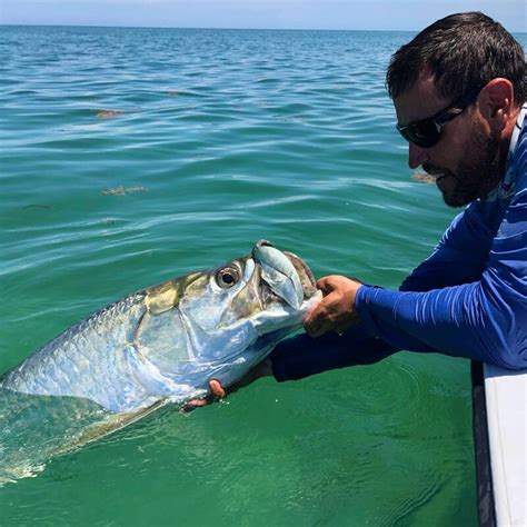 Florida Keys Winter Tarpon Fishing And Upcoming Availability