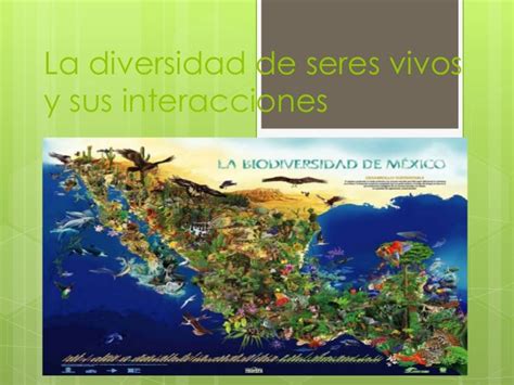 La Diversidad De Los Seres Vivos Y Sus Interacciones