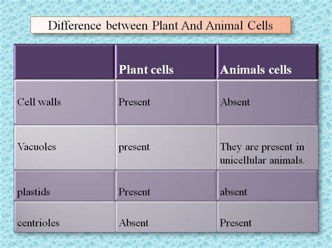 All the difference between the plant cell and animal cell is mentioned below on the basis of different categories above we discussed all the important points difference between plant cell and animal cell. SONU ACADEMY: PLANT CELL -TEXT