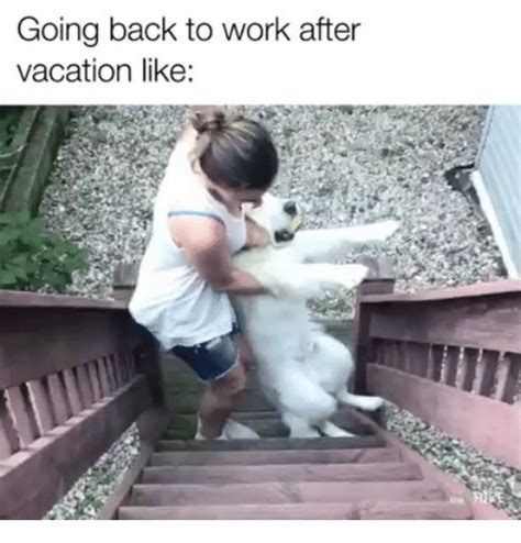 Going Back To Work After Vacation Like Meme On Meme