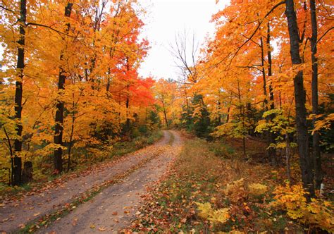 Autumn In Northern Wisconsin Lifeinthenorthwoods