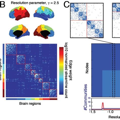 The Multi Scale Brain Brain Networks Are Organized Across Multiple Download Scientific Diagram