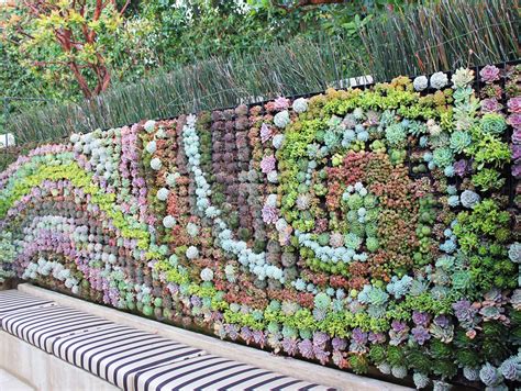 Harvest To Home Succulents Succulent Wall Planter Plants