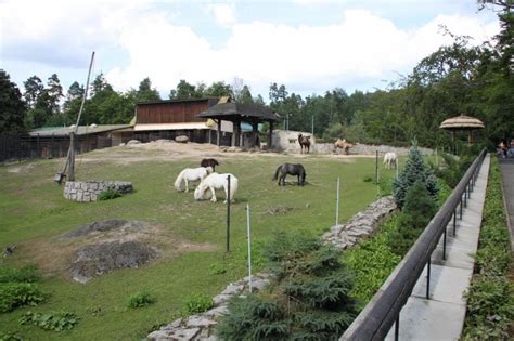 Liberec Zoo Aquapark Babylon Harrachov Info