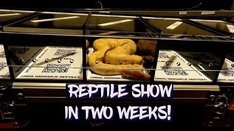 Ill See You At Reptilian Nation Denver Only Two Weeks Away Youtube
