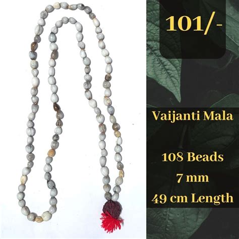 Vaijanti Mala Kashi Pujan