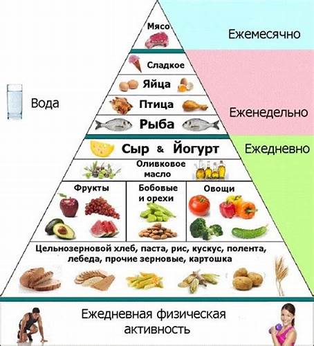 Диета никифорова андрея