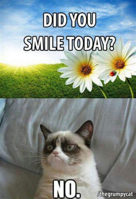 Did You Smile Today No Funny Grumpy Cat Memes Grumpy