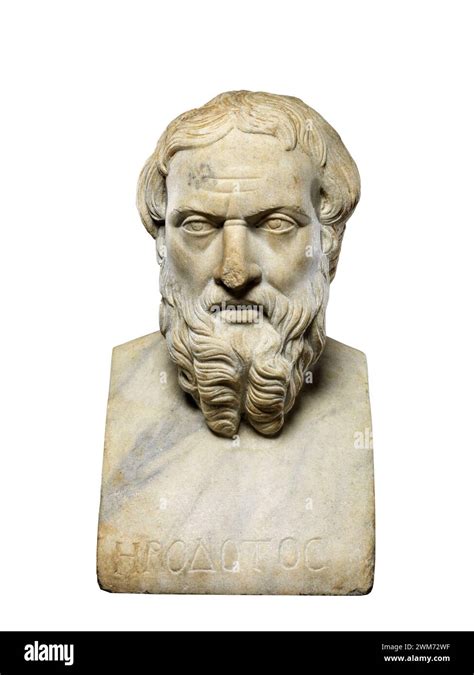 Herodotus Marble Bust Of The Greek Historian And Geographer Herodotus