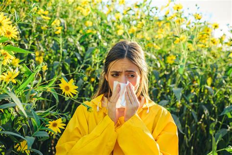 Allergie Aux Pollens Période Symptômes Yeux Que Faire