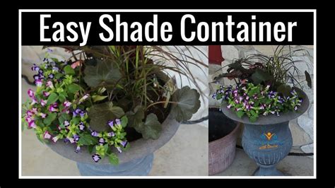 Up to six plants are allowed per colorado resident over age 21, with as many as three plants flowering at one time. Easy Shade Planter | Flowers That Grow Well in Shade ...