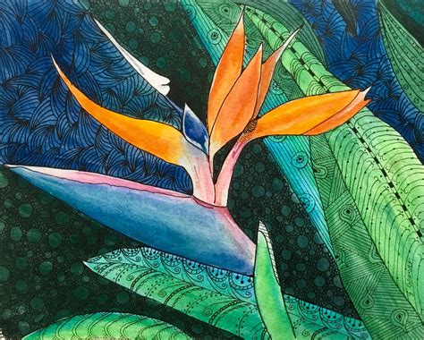 Bird Of Paradise Flower Watercolor And Ink Painting
