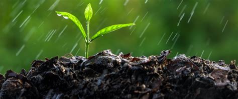 Soil Moisture Webinar Series—Soil Moisture 101: What It Means and How