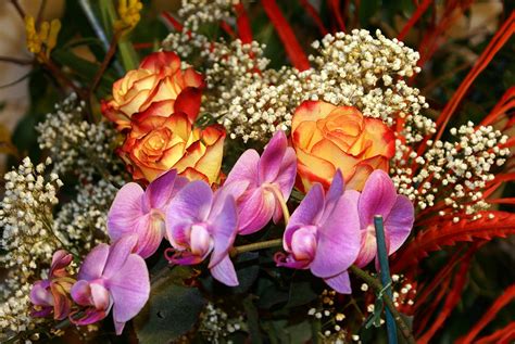 The Most Amazing Orchid Bouquet And Roses Flowers Photos Flowers Photo Gallery