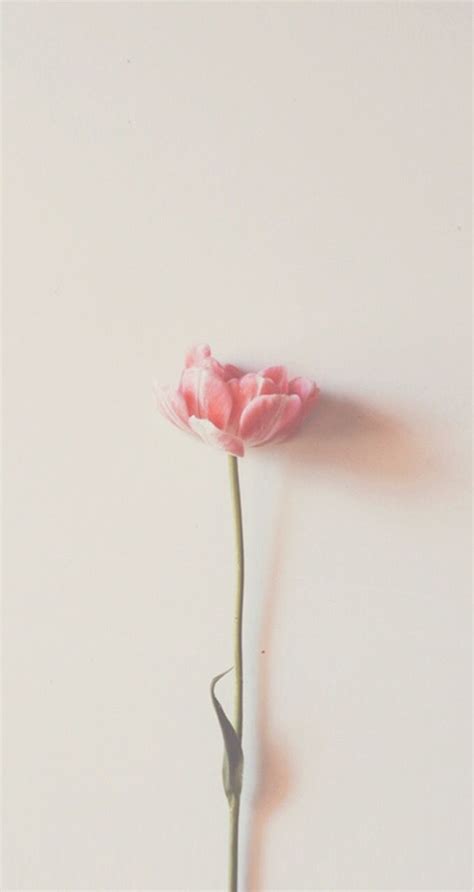 We have a massive amount of desktop and mobile backgrounds. Pin by Summer Rain on Minimalist Photography | Pink ...