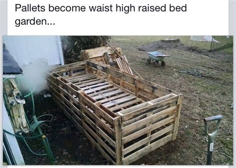 We did not find results for: Pallets become waist high raised bed garden. | Raised garden beds, High raised beds, Raised beds