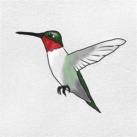 How To Draw Hummingbird Helloartsy
