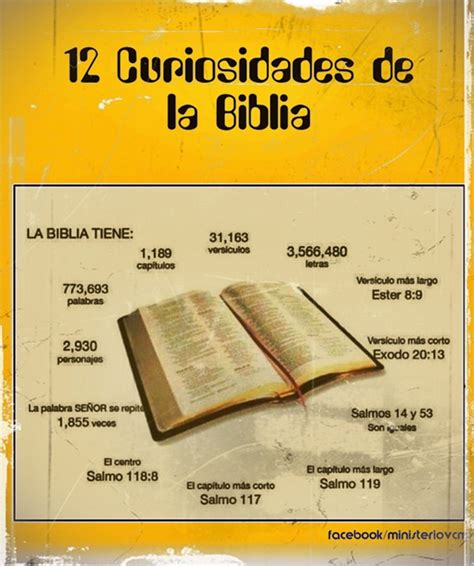 Datos Curiosos De La Biblia Que Debes Conocer Datos Curiosos Biblia