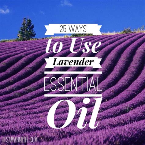 25 Uses For Lavender Oil Its A Wahm Life