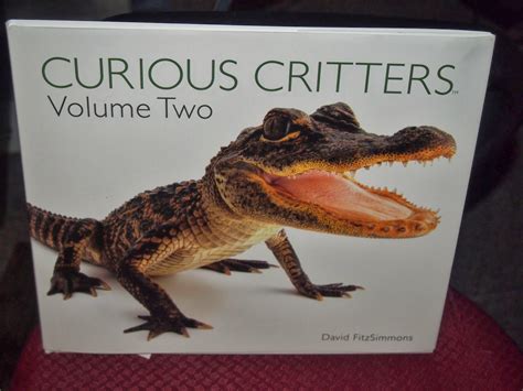 Heck Of A Bunch Curious Critters Review And Giveaway
