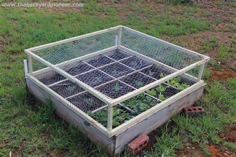 How To Keep Squirrels Out Of A Raised Garden Bed Garden