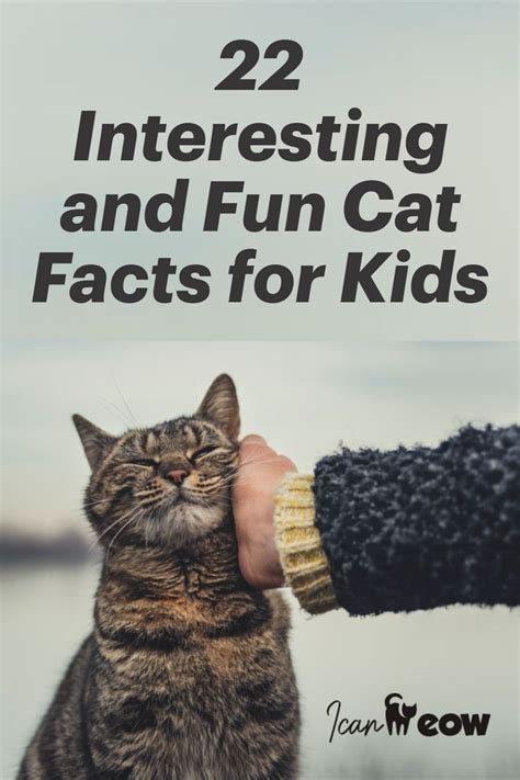 22 Interesting And Fun Cat Facts For Kids In 2021 Cat Facts Facts