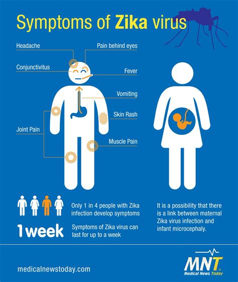 Are You Aware Of The Symptoms Of Zika Virus Take A Look At Our