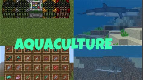 Como Descargar Mod AquaCulture Minecraft Bedrock 1 19 YouTube