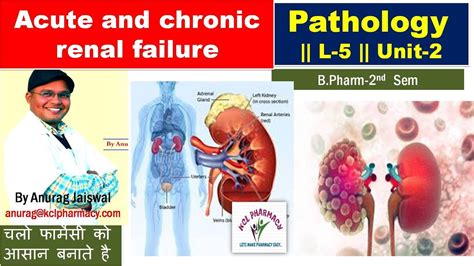 Acute And Chronic Renal Failure L 5 Unit 2 Pathology Bpharm 2nd Sem