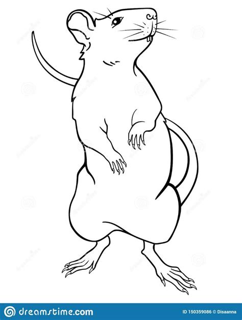 How To Draw A Mouse Standing Up