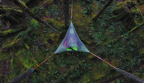 Tentsile Stingray 3 Person Tree Tent Forest Green At