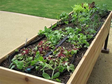 Garden above ground with the seasons. Elevated raised gardening bed . | Small space gardening ...