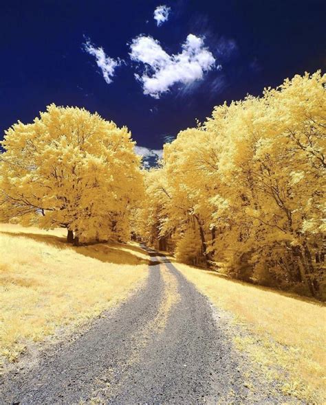 Yellow Pics Beautiful Places Amazing Nature October Country Nature