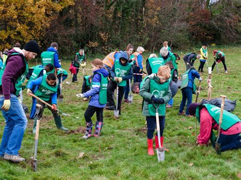 13 Impressive Tree Planting Organizations To Follow Classy