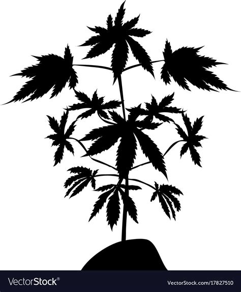 weed plant silhouette