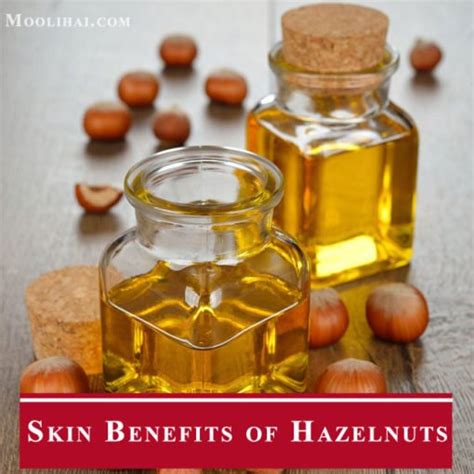 28 Possible Benefits Of Hazelnuts For Health Skin Hair