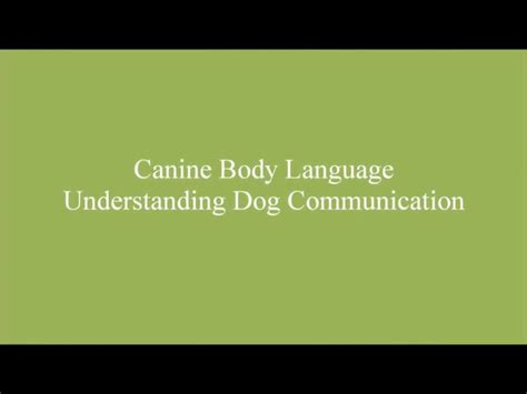 Pin By Chanel Aprahamian On Understanding Dog Body Language Learn How