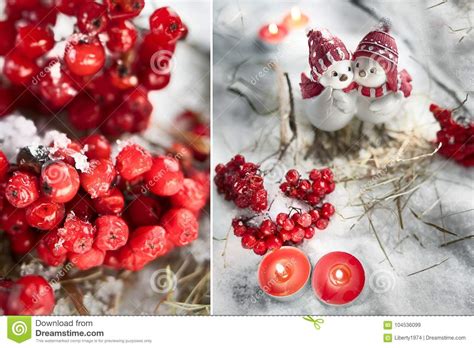 Birds Red Mountain Ash And Candles Stock Image Image Of