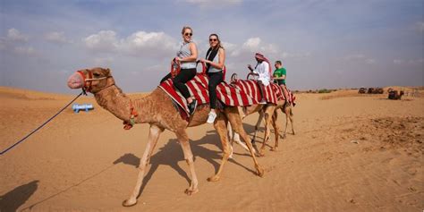 The 5 Best Dubai Desert Safaris 2023 Reviews World Guides To Travel