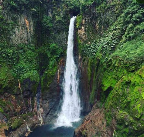 8 Cascadas De Costa Rica Que Debe Visitar Expertos En Costa Rica Ted