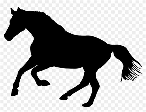 Black Silhouette Of Horse In Nature Silueta De Un Caballo Hd Png