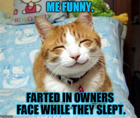 Cute Smiling Cat Memes Imgflip