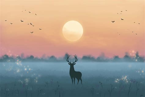 100 Deer Desktop Wallpapers