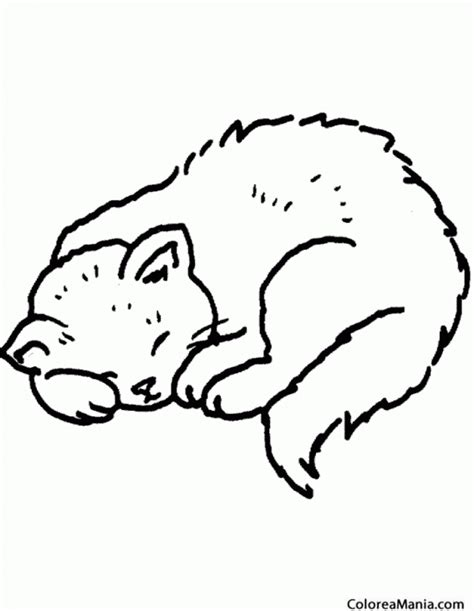 Colorear Gato durmiendo Animales Domésticos dibujo para colorear gratis