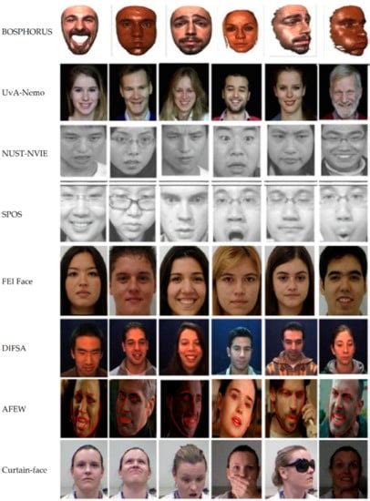 information free full text facial emotion recognition using conventional machine learning