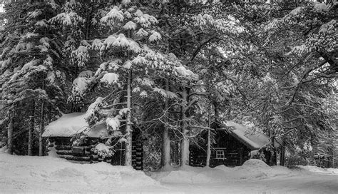 Historical Log Cabins Covered Of Snow Banff National Park Alberta