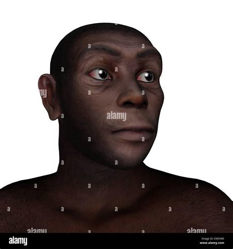 Hombres Homo Erectus Retrato Aislado En Fondo Blanco 3d Render Fotografía De Stock Alamy