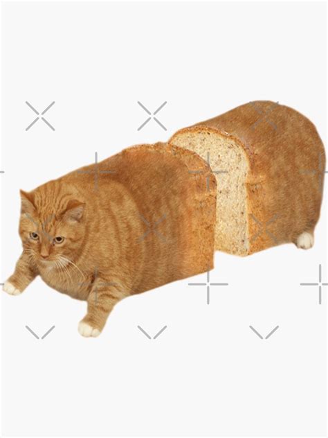 Cat Loaf Sticker By Elisecv In 2022 Cats Buy A Cat Cat Memes
