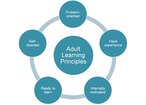 The Basics Of Adult Learning Theory Start School Now